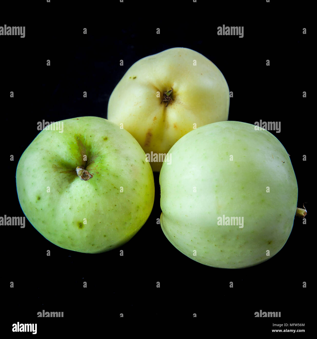 Old German Apple Cultivar "Klarapfel" Stock Photo