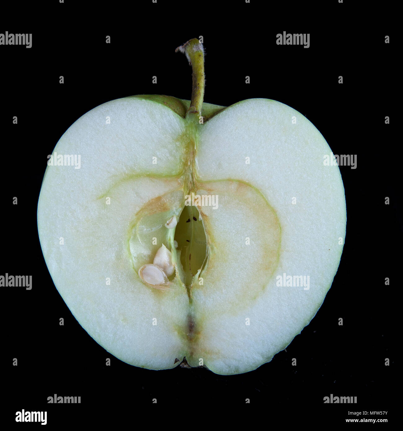 Old German Apple Cultivar 'Klarapfel' Stock Photo