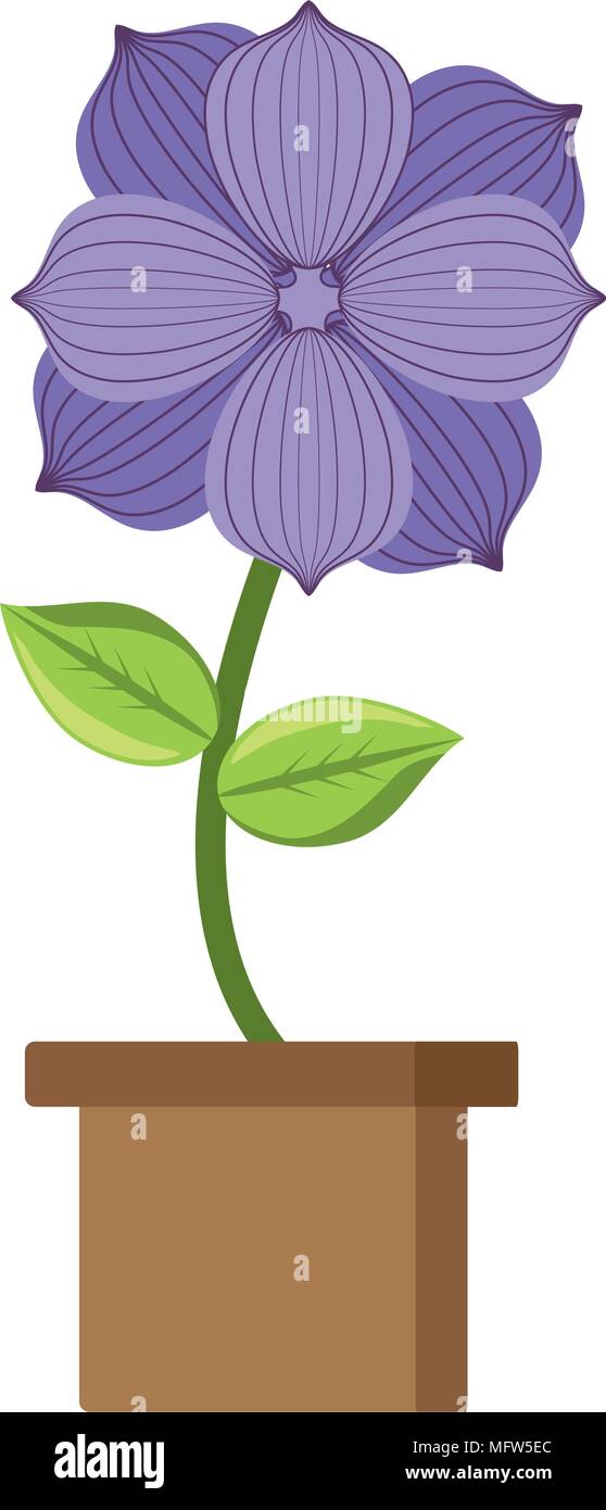 beautiful flower in a pot over white background, colorful design ...