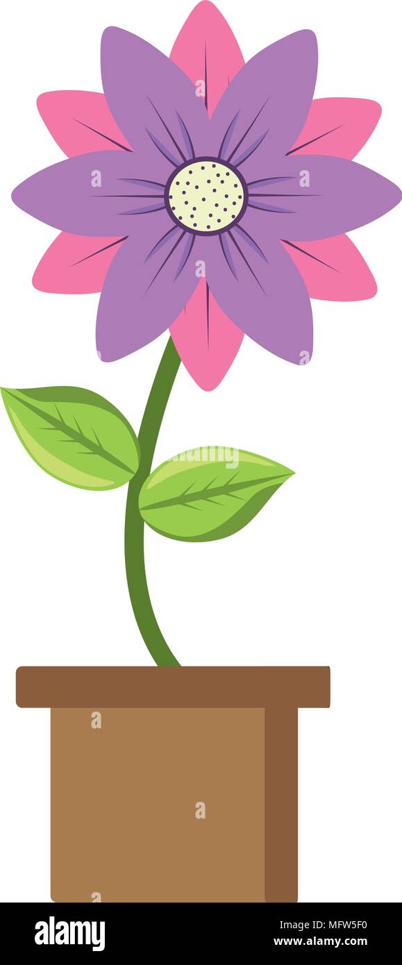 beautiful flower in a pot over white background, colorful design ...