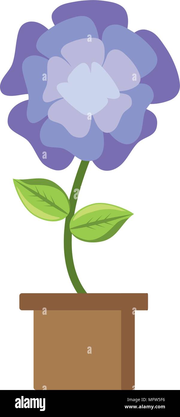 beautiful flower in a pot over white background, colorful design ...