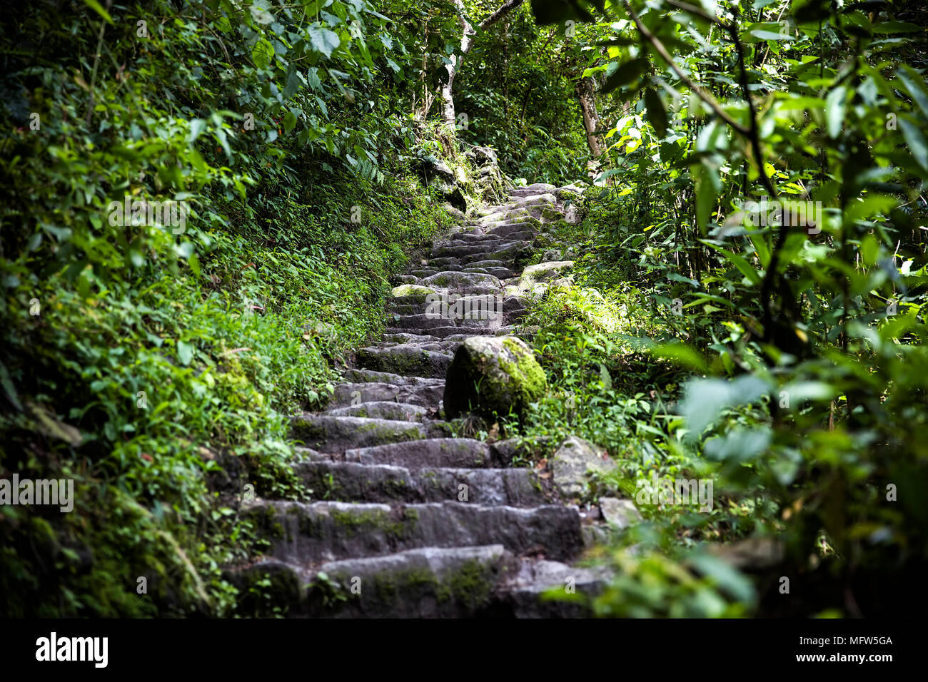 Detail of the Machu Picchu Inca citadel in Peru Stock Photo - Alamy