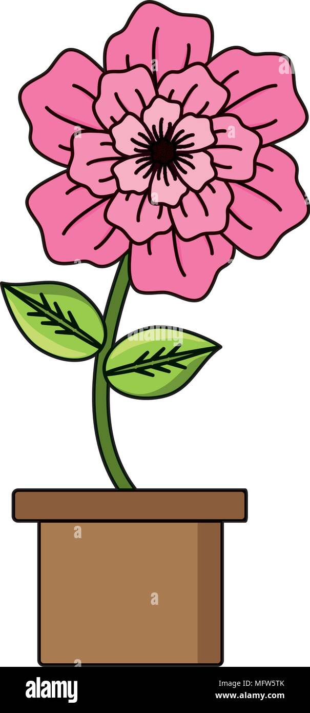 beautiful flower in a pot over white background, colorful design ...