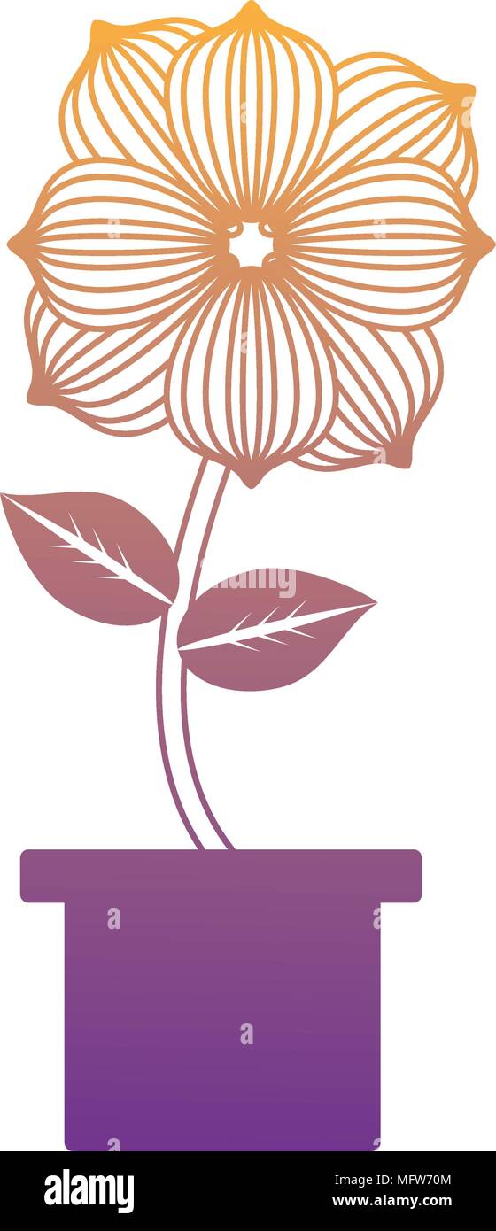 beautiful flower in a pot over white background, colorful design ...