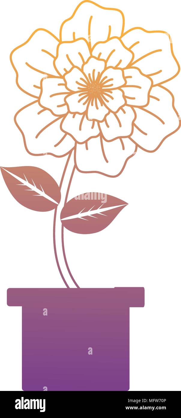 beautiful flower in a pot over white background, colorful design ...