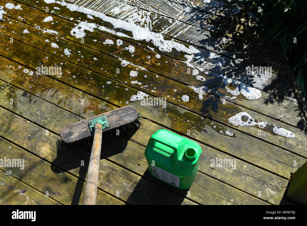 Green and dirty algae covered garden decking in the process of being
