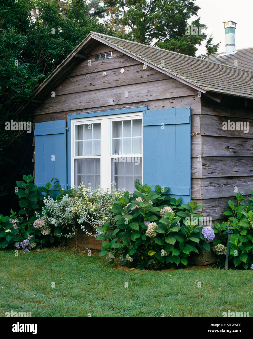 Exterior of wooden house with blue window shutters Stock Photo - Alamy