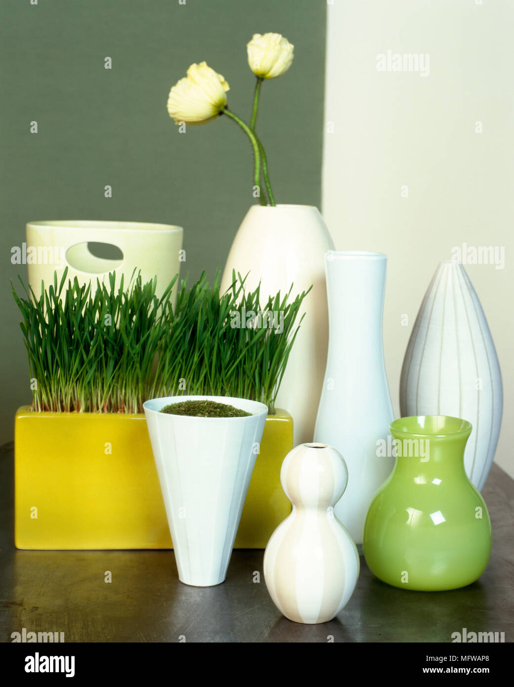 Group of different shaped vases with square pot of wheatgrass and two peonies Stock Photo