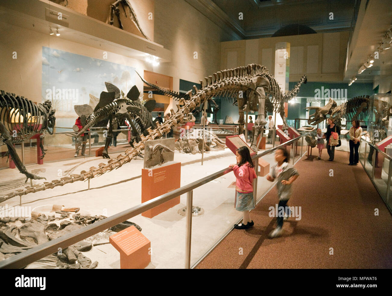 Young children looking at dinosaurs, national Museum of Natural History , Smithsonian Institute, Washington DC, USA Stock Photo