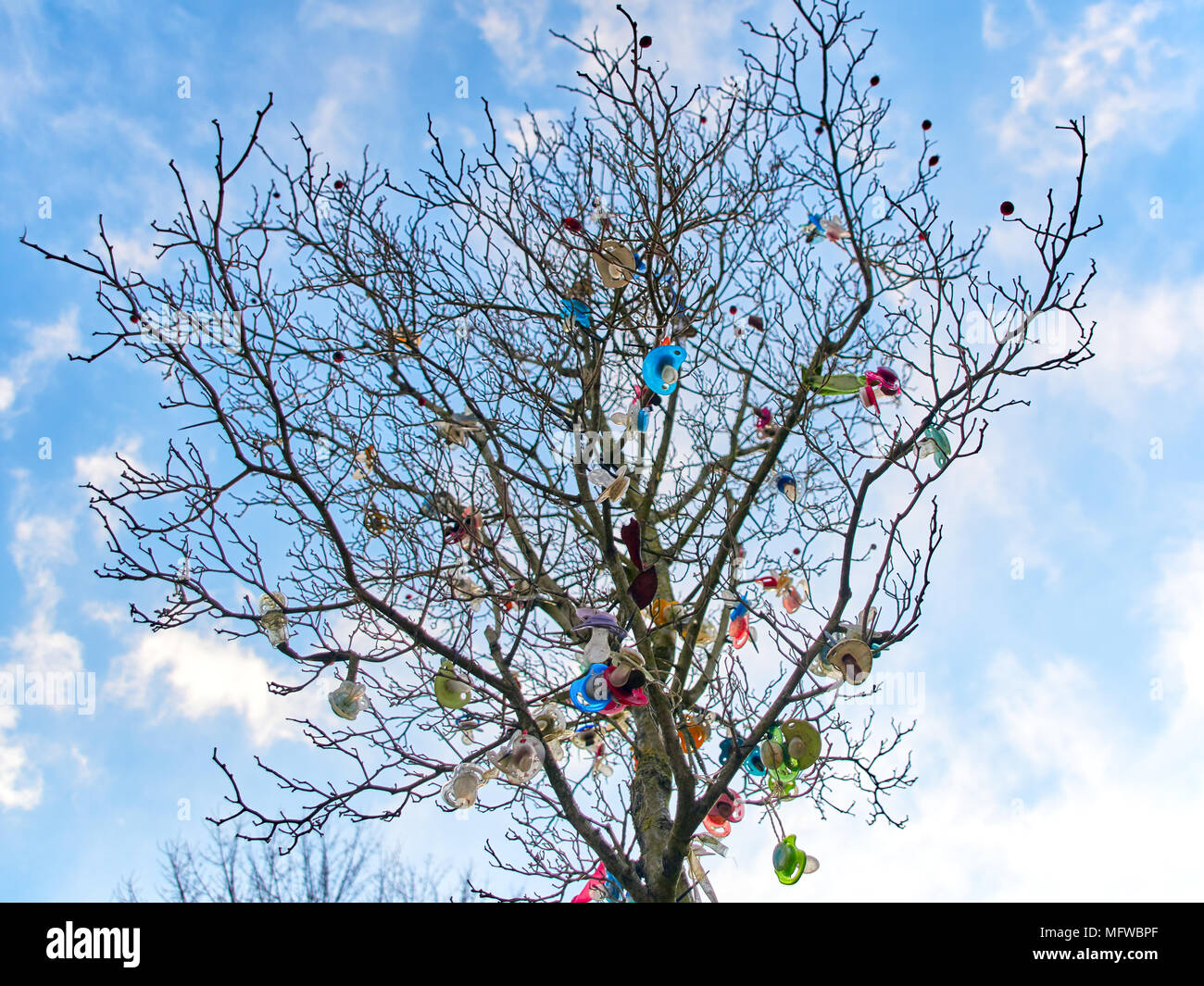 The soother tree against a blue Sky with many colorful baby pacifiers Stock Photo