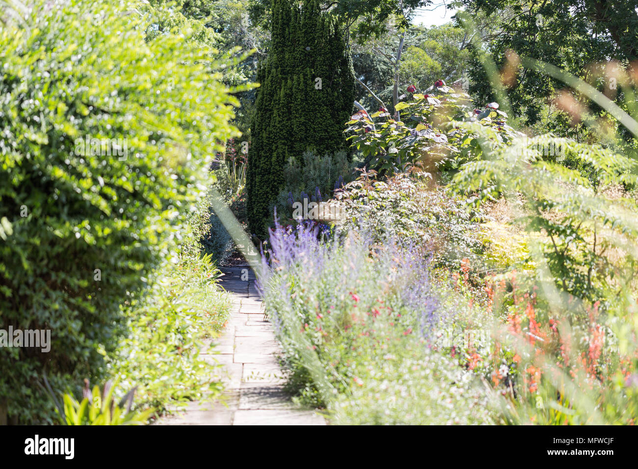 Garden with path, flower beds, bushes and flowers Stock Photo