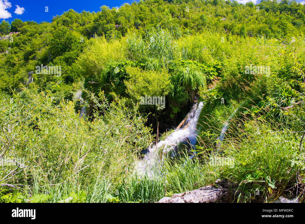 Plitvice Lakes National Park The Largest National Park In Croatia plitvice-lakes-national-park-the-largest-national-park-in-croatia
