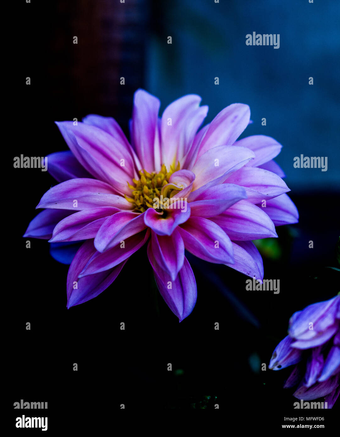 Calming hires stock photography and images Alamy