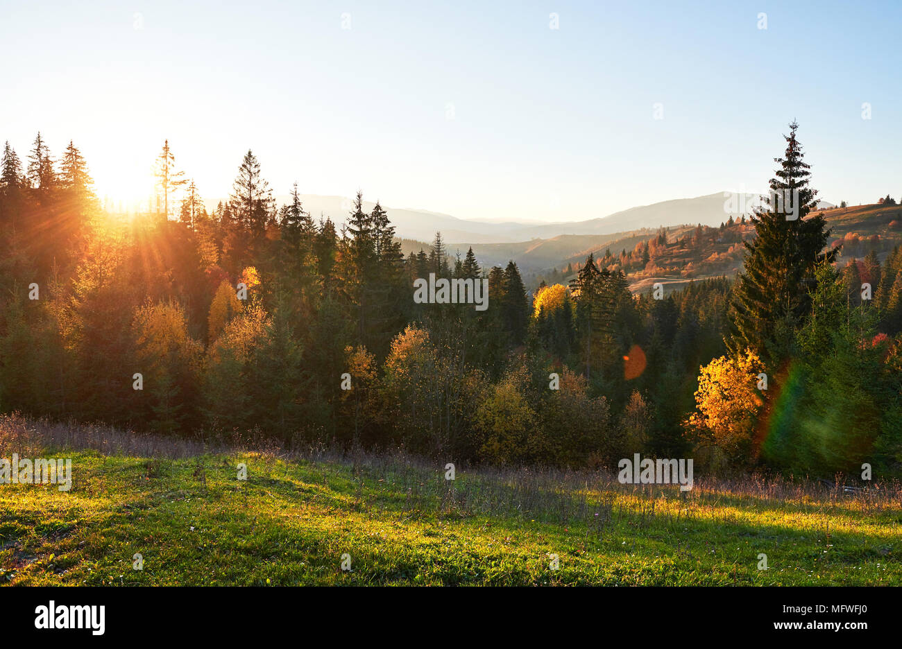 the mountain autumn landscape with colorful forest Stock Photo - Alamy