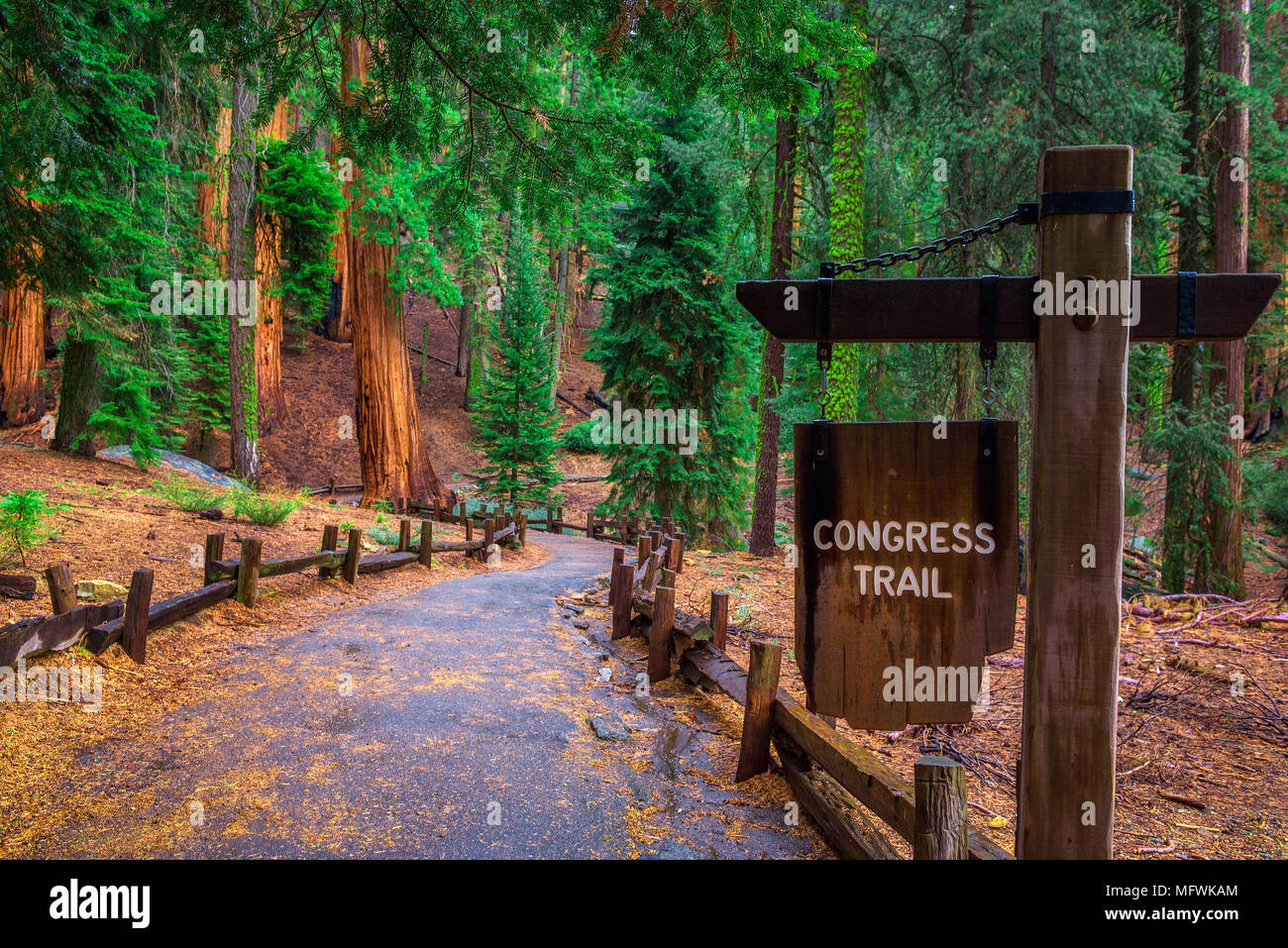 Congress Trail sign in Sequoia National Park Stock Photo