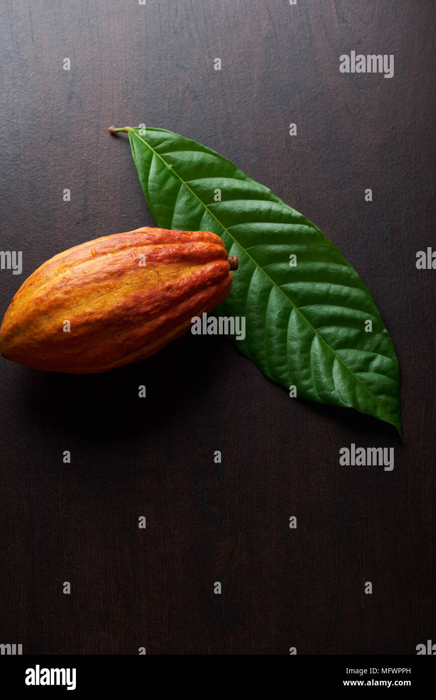 Cacao bean and green leaf on wooden table Stock Photo