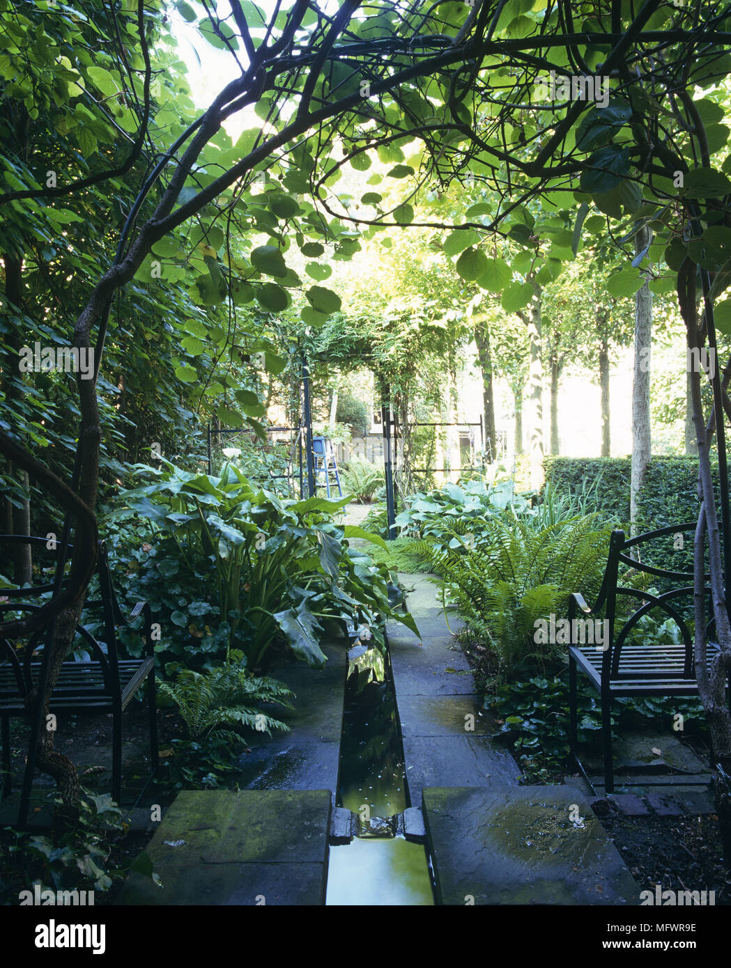 Water feature in secluded lush garden Stock Photo Alamy