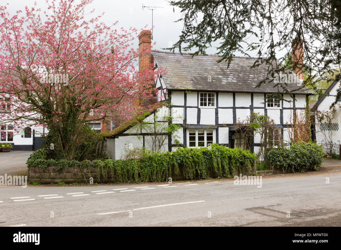 Black and white houses, Dilwyn, Herefordshire UK Stock Photo Alamy