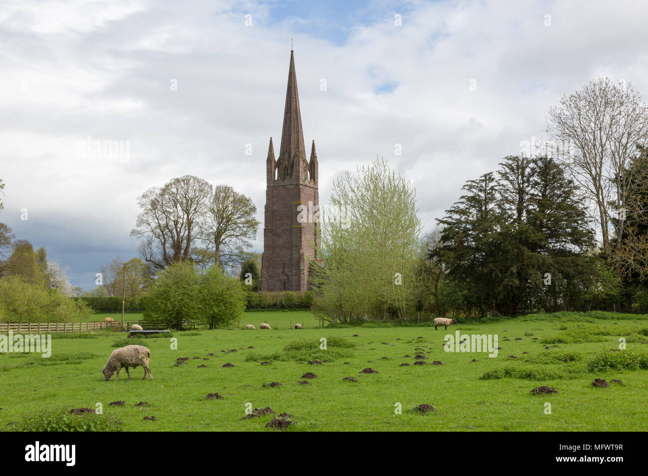 The Anglican Church of St Peter and St Paul, Weobley, Herefordshire UK Stock Photo