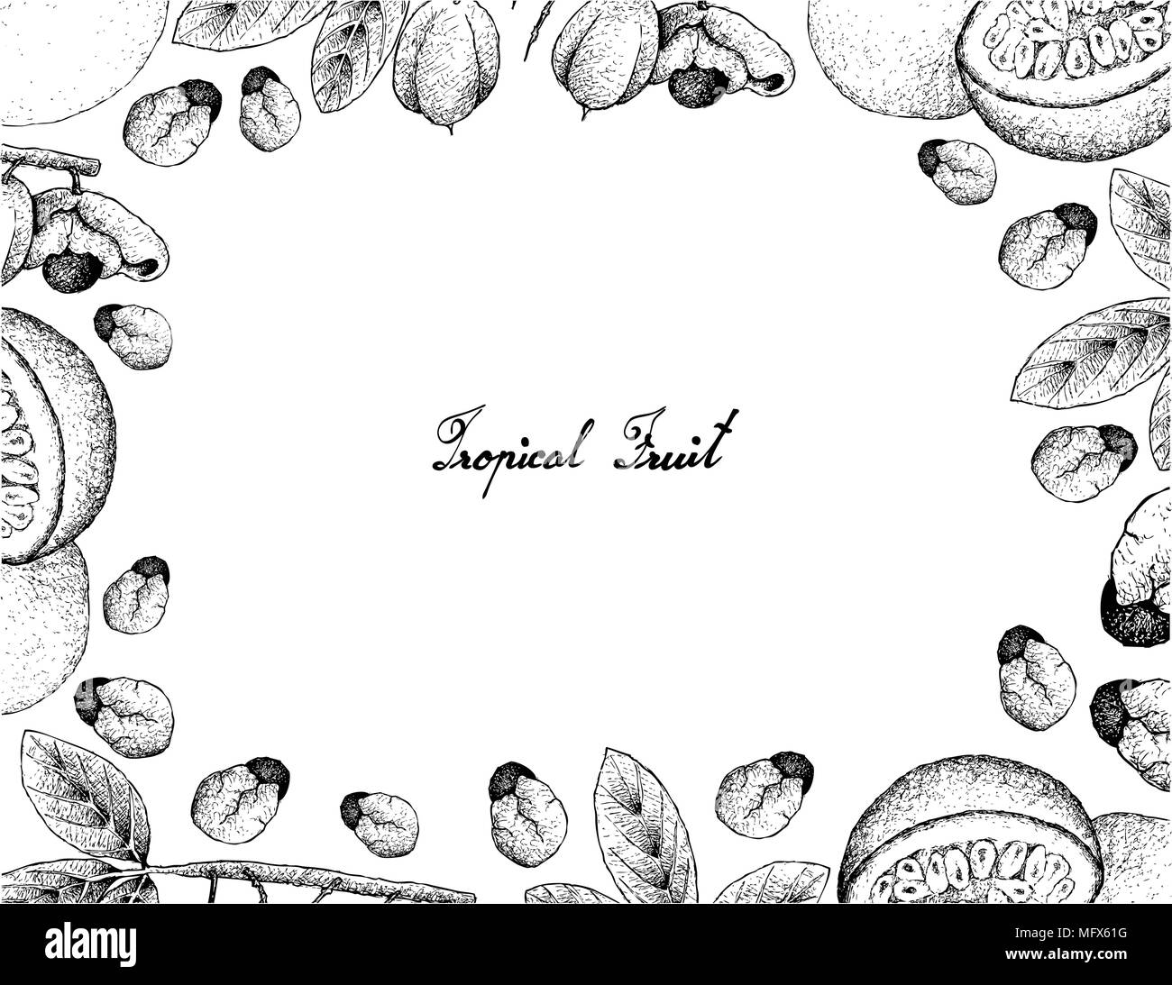 Tropical Fruits, Illustration Frame of Hand Drawn Sketch of Passion Fruit or Passiflora Edulis and Ackee or Blighia Sapida Fruits Isolated on A White  Stock Vector