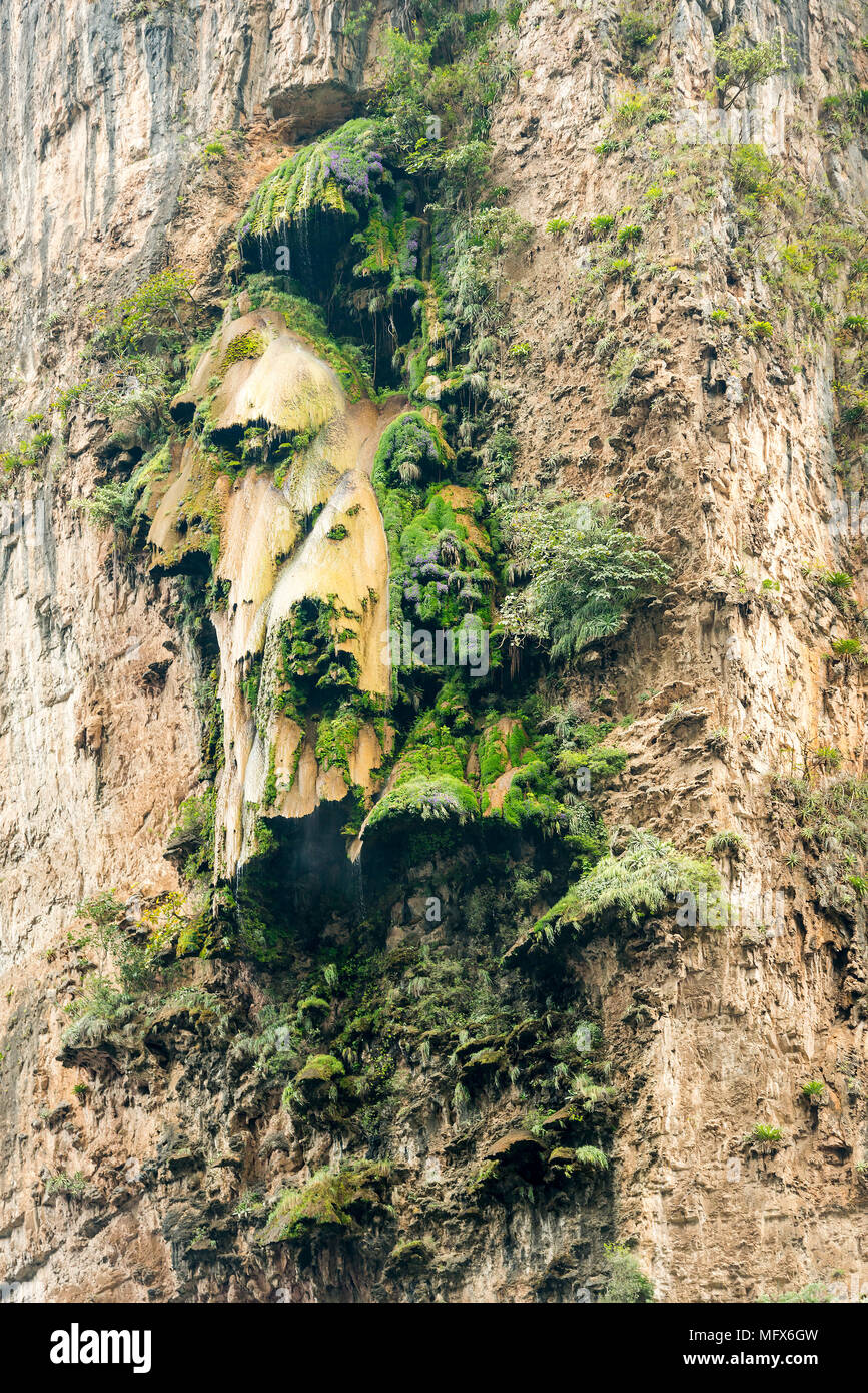 Arbol de Navidad or the Christmas Tree Waterfall in the Sumidero Canyon, Chiapas Mexico Stock Photo