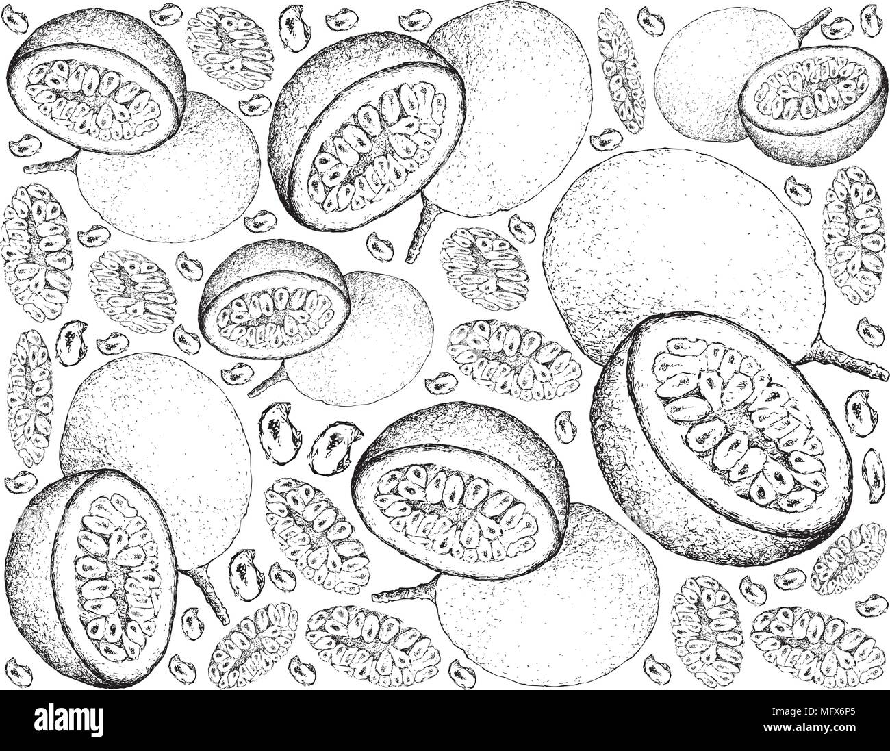 Tropical Fruits, Illustration Wallpaper Background of Hand Drawn Sketch of Passion Fruit or Passiflora Edulis. High in Vitamin C and A With Essential  Stock Vector