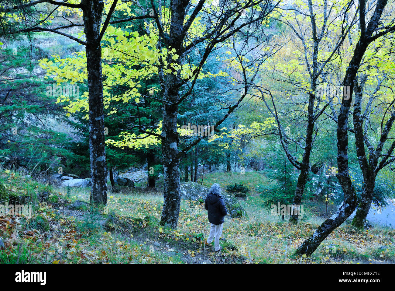Autumn time in the Serra da Estrela Nature Park, Portugal Stock Photo