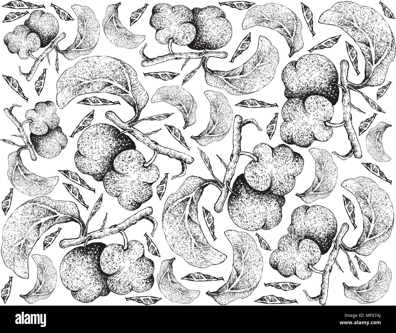 Fresh Fruits Illustration Wallpaper Background Of Hand