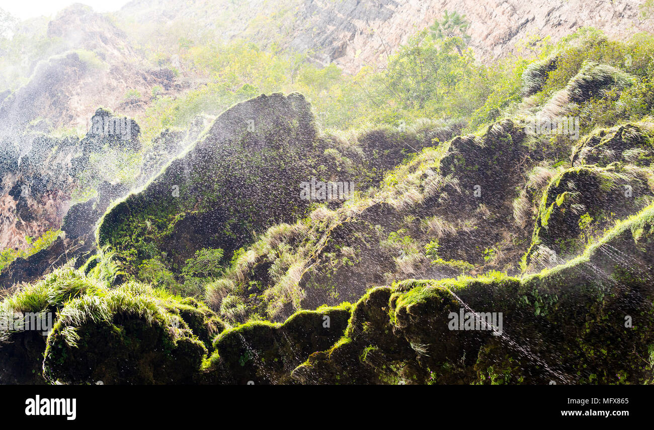 Mist over green moss from a cliff waterfall in The Sumidero Canyon, Chiapas Mexico Stock Photo