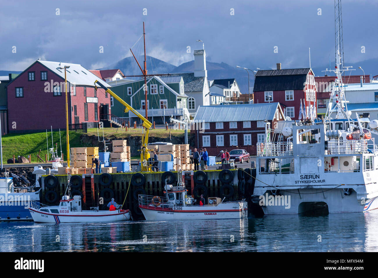 Downloading cached fish in Stykkishólmur harbour with fishing boats ...