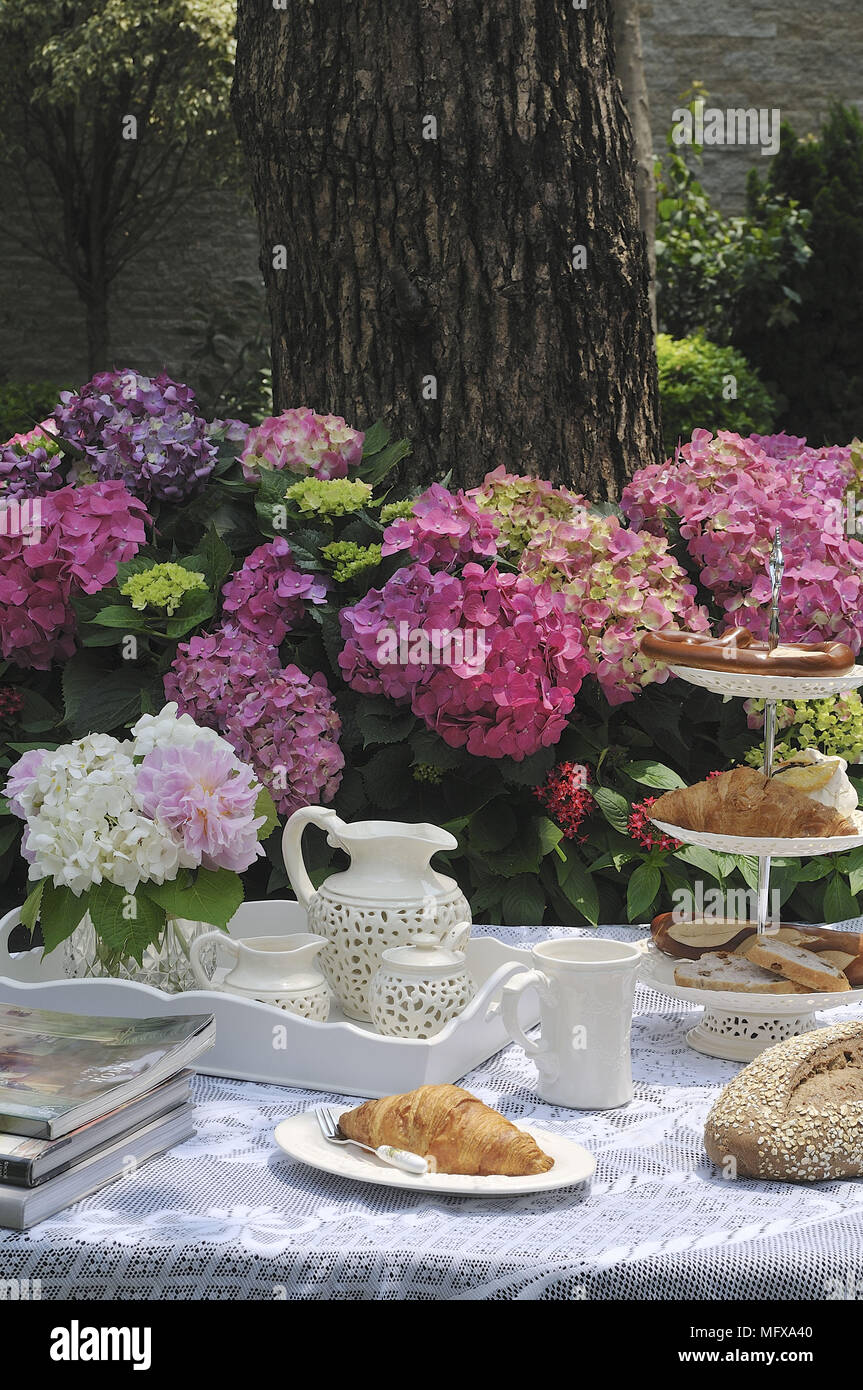 Breakfast served on table in garden setting with hydrangea flowers in background Stock Photo