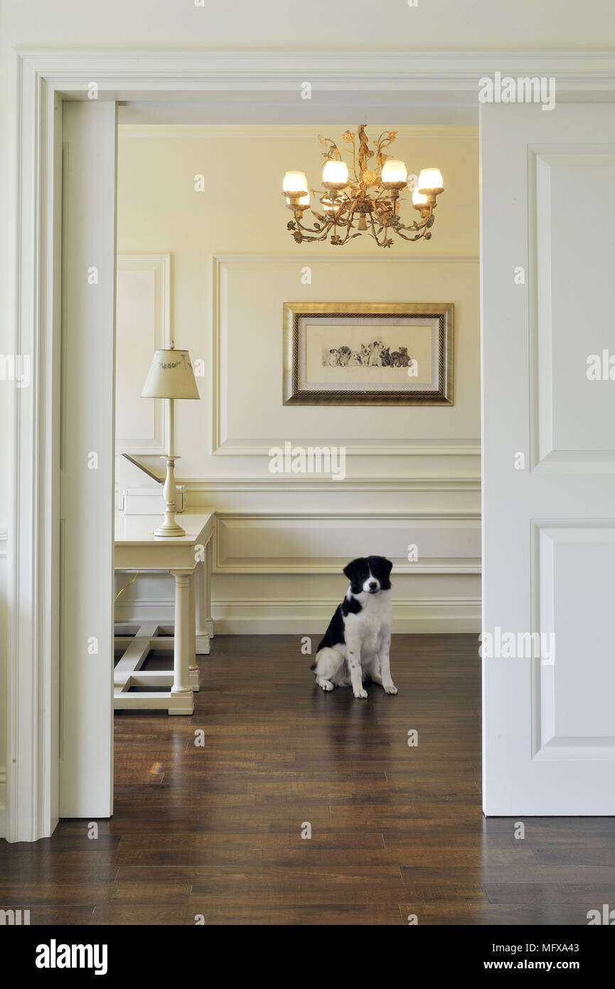 View through open doorway to dog sitting in traditional style room Stock Photo