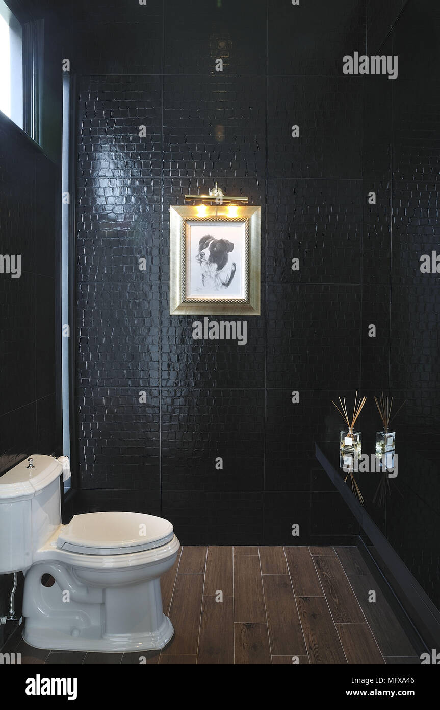 Toilet in dark tiled bathroom Stock Photo