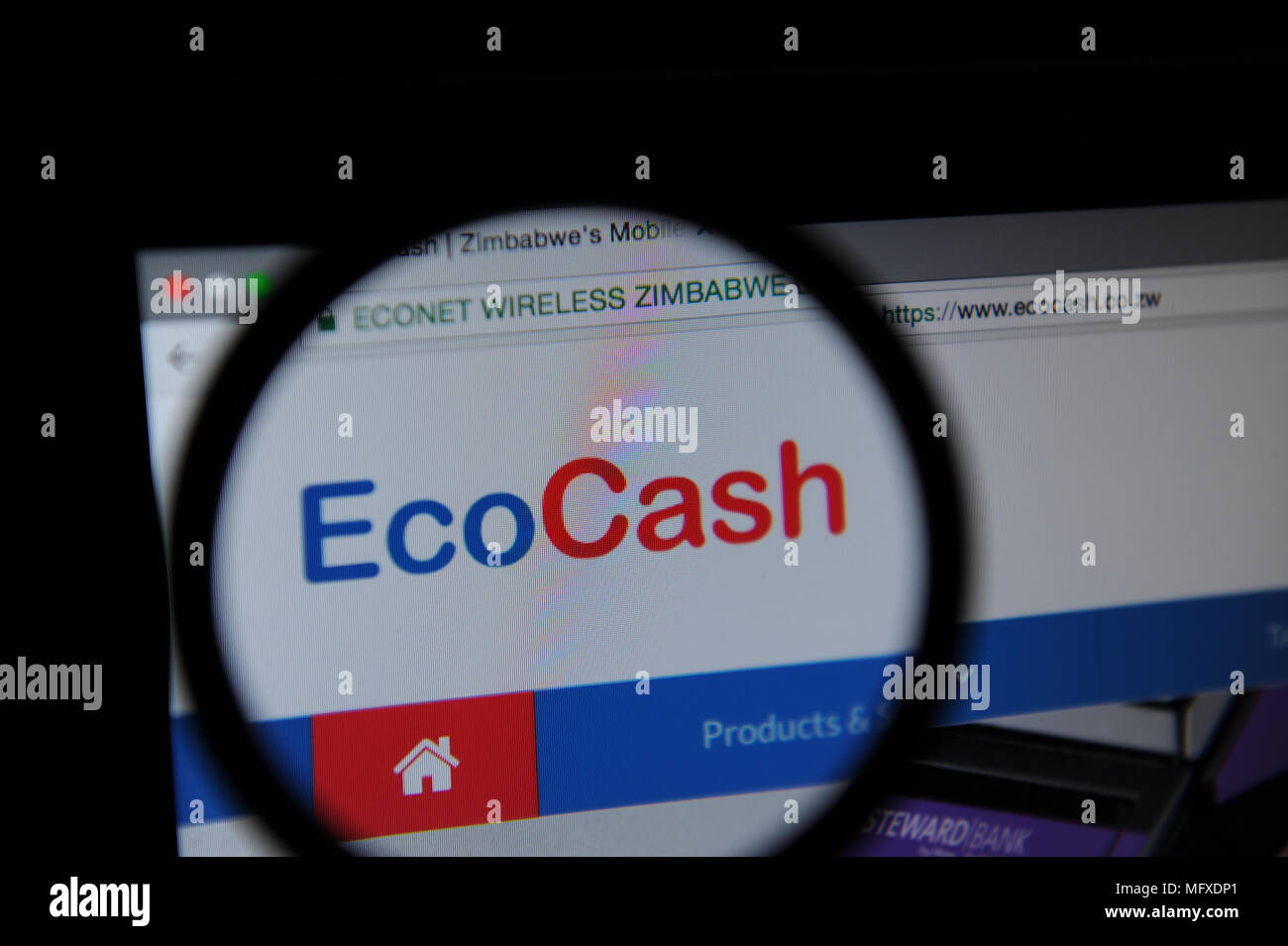 The EcoCash website seen through a magnifiying glass Stock Photo