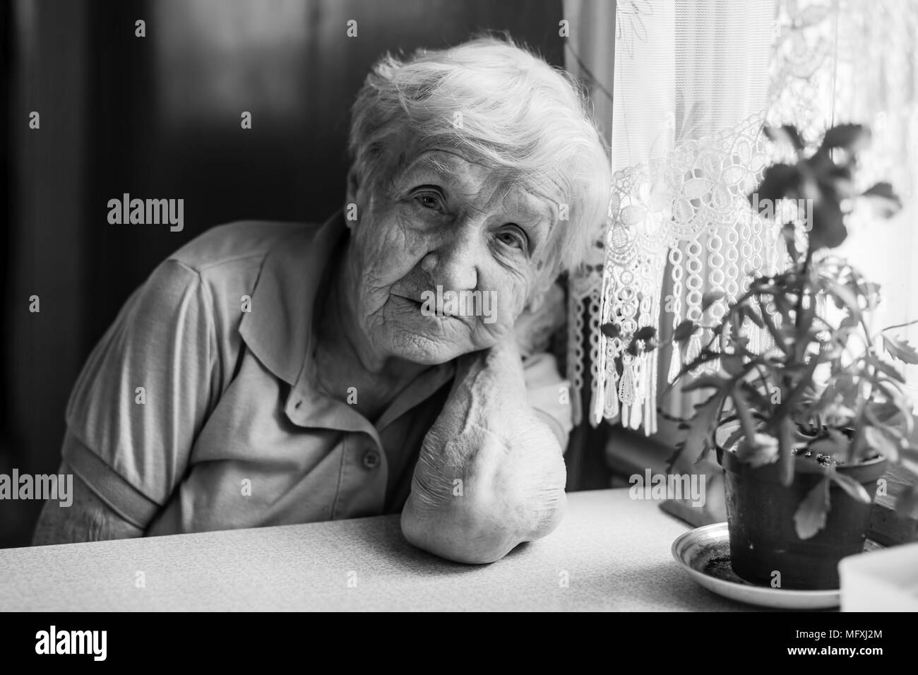 Elderly woman portrait in the kitchen. Stock Photo
