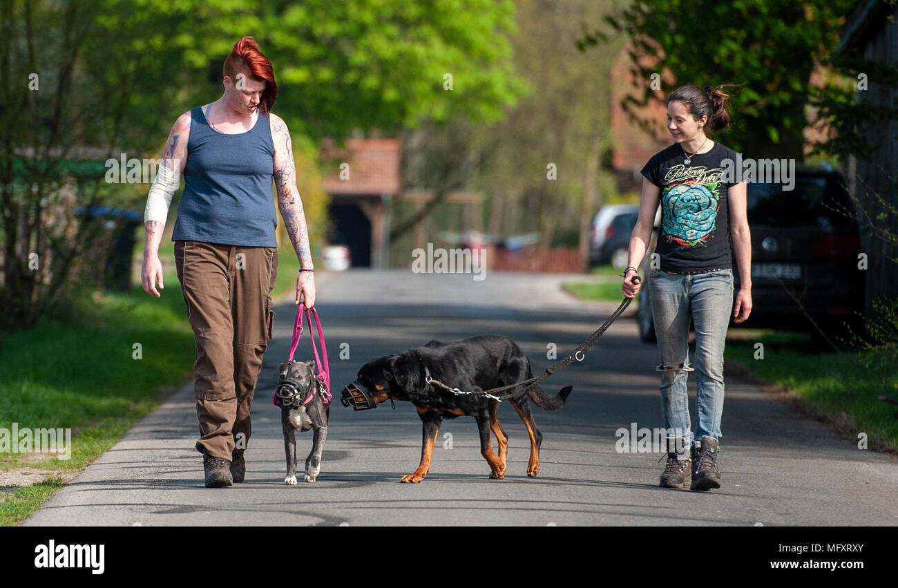 23 April 2018, Germany, Bispingen Dog trainer from the 'Hellhound