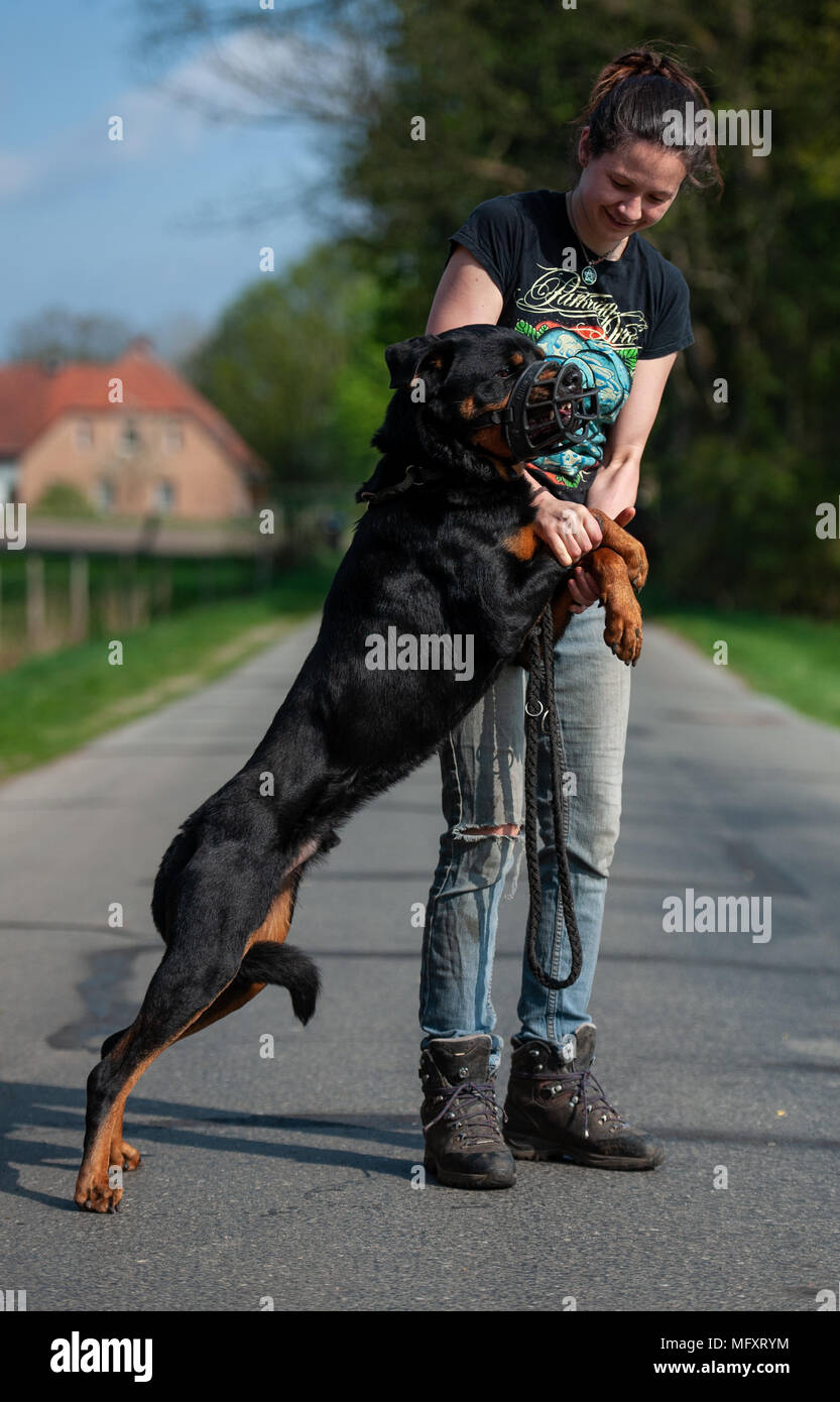 Hellhound Foundation Vanessa Hellhound Foundation Vanessa