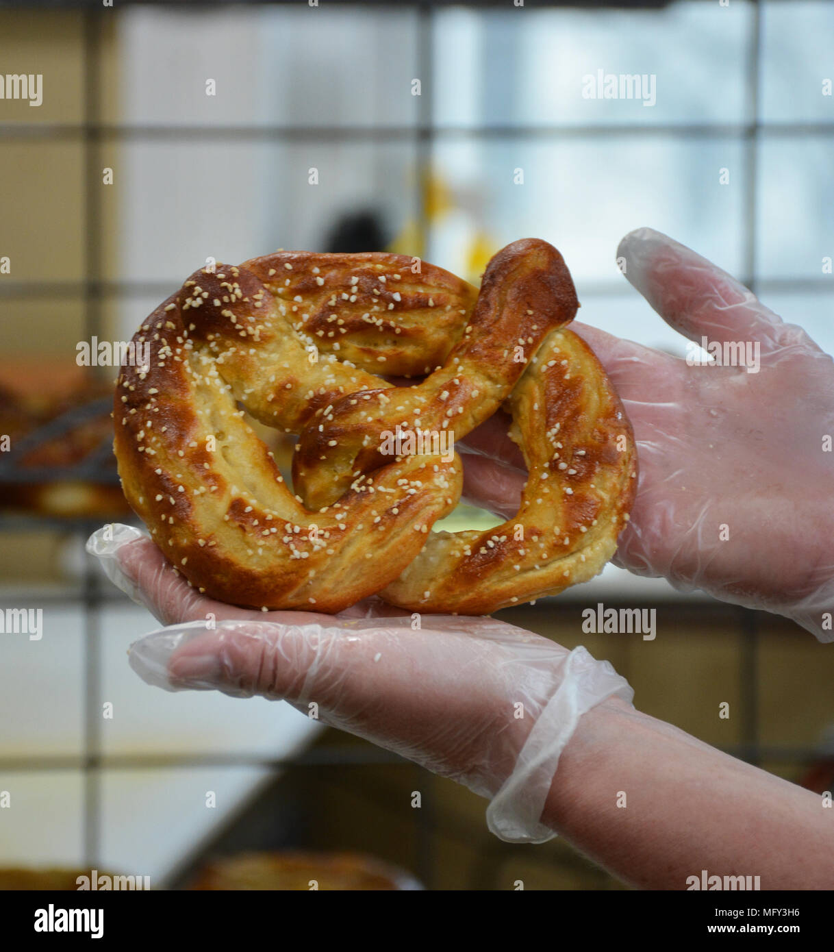 Making hand made custom Beer Pretzels, using Craft Beer as part of the ingredients,at the Breaker Brewing Company, Wilkes Barre Township PA. Cheers! Stock Photo