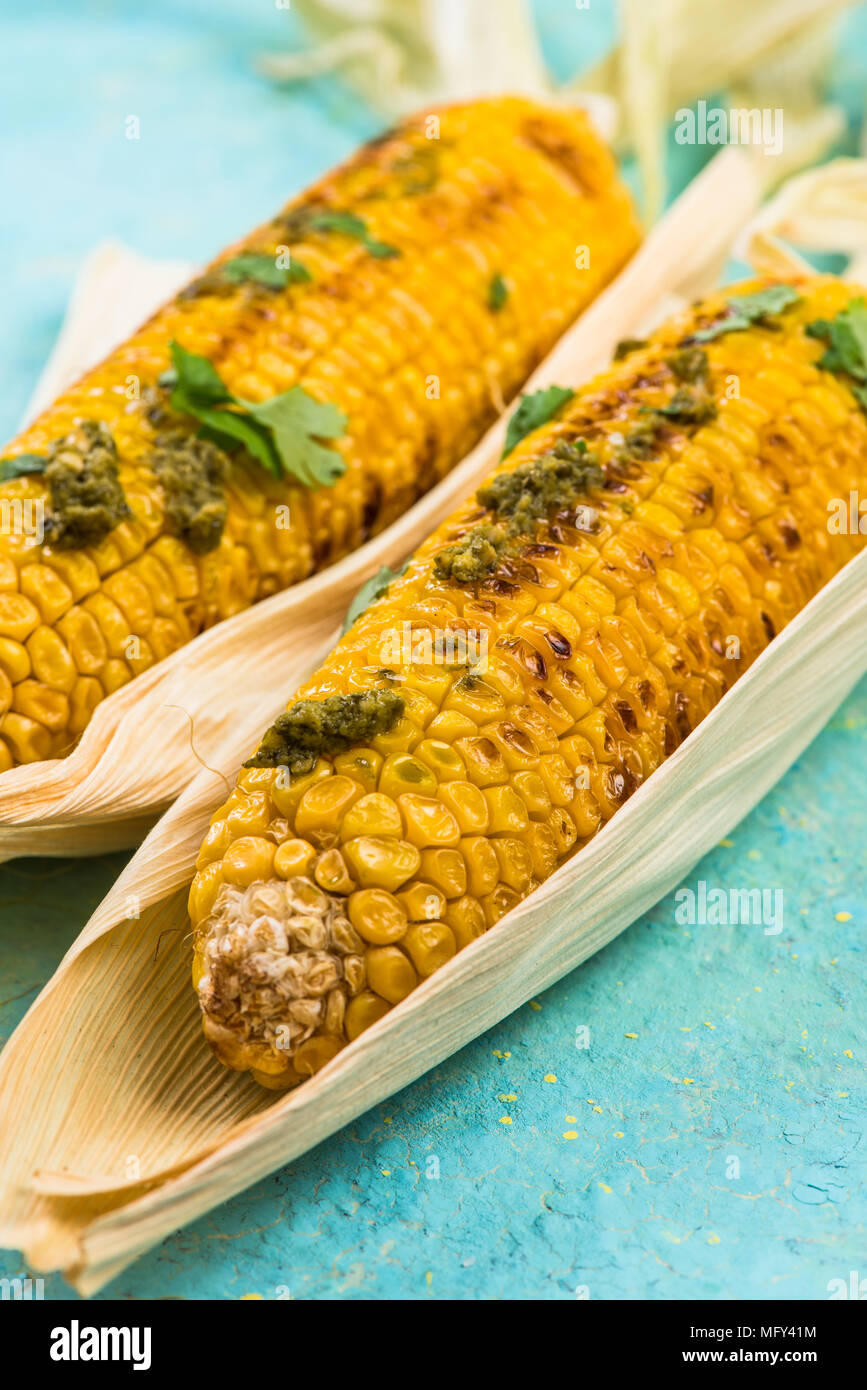 Whole corn cob grilled in husk with pesto and coriander Stock Photo Alamy