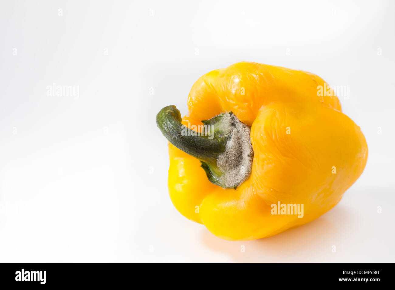 Yellow sweet chillie was mold and rotten on a white background. Stock Photo
