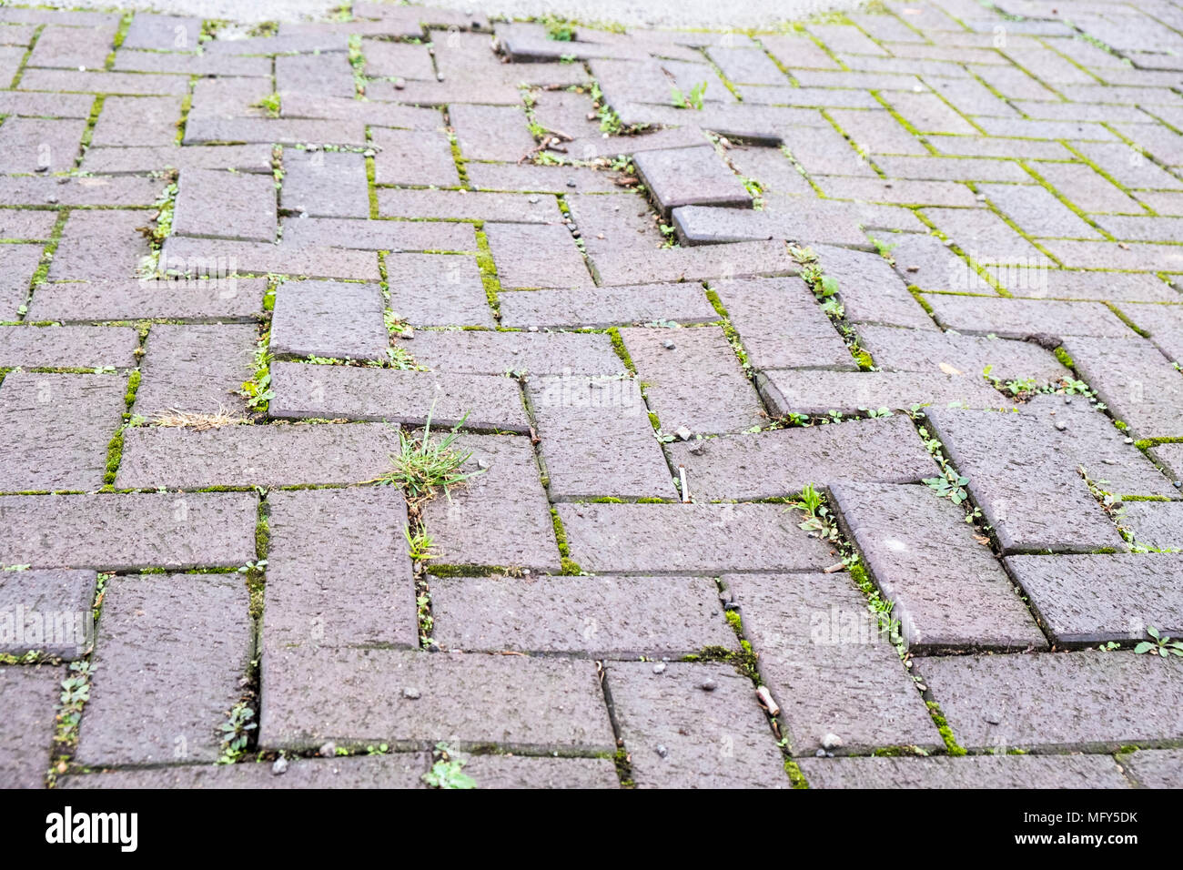 Uneven pathway. Damaged or poor block paving with weeds growing through