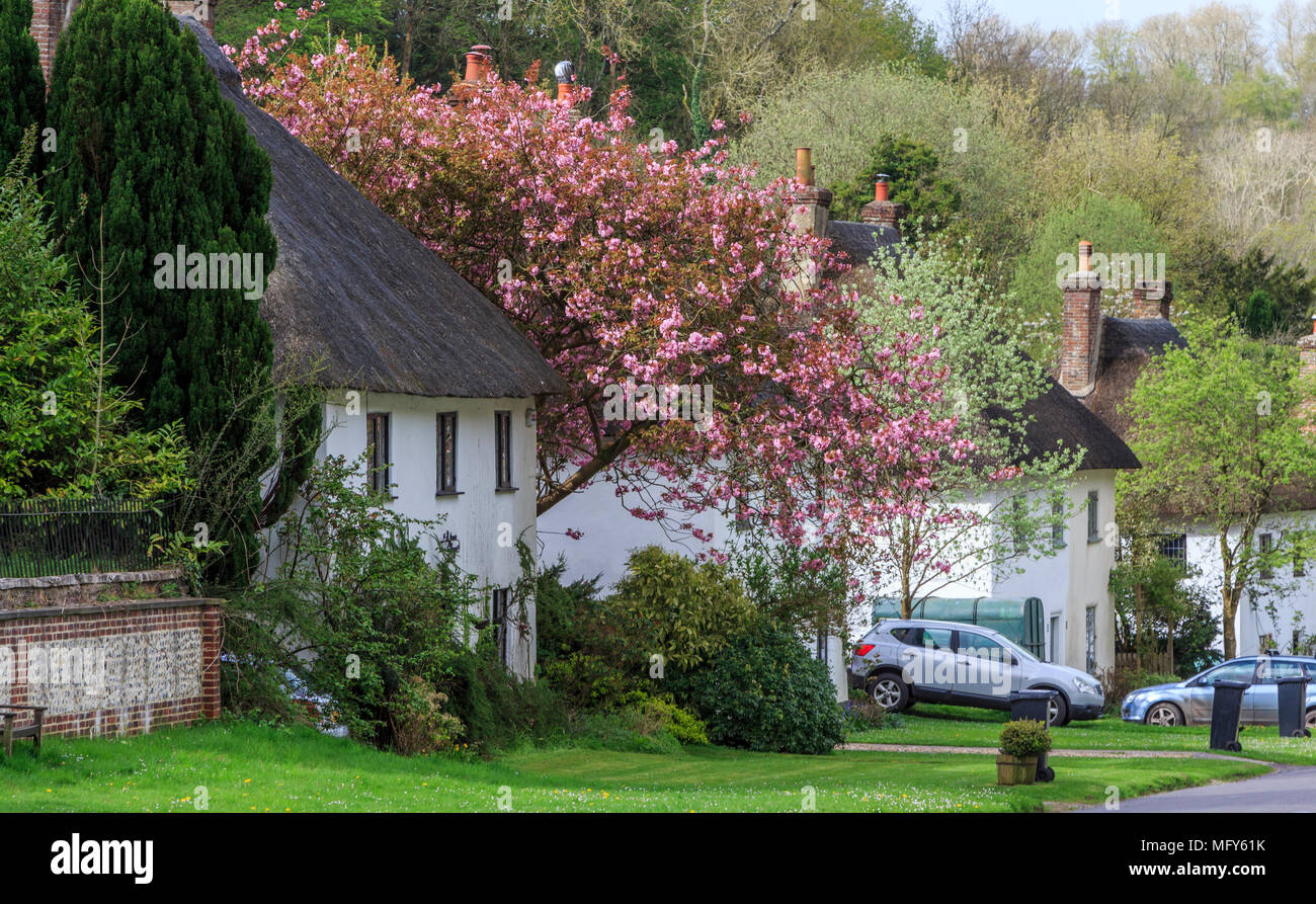 Beautiful village of Milton Abbas in Dorset, England, UK, GB with