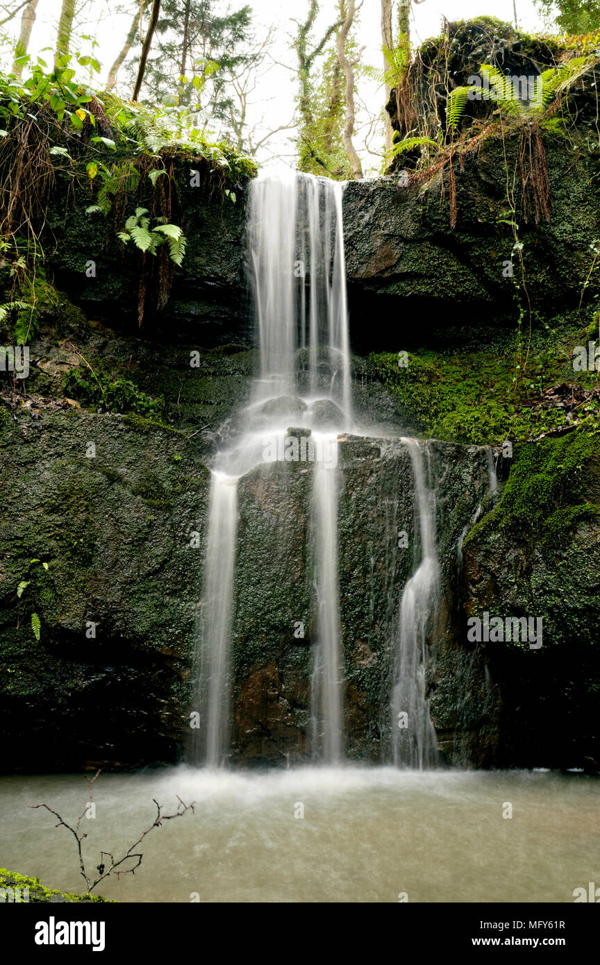 Woodland waterfall hi-res stock photography and images - Alamy