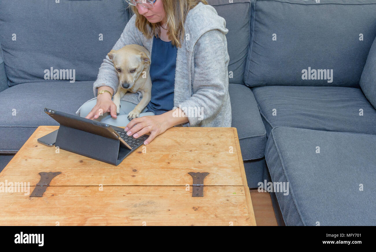 A middle aged woman at home using her laptop computer with her pet dog ...