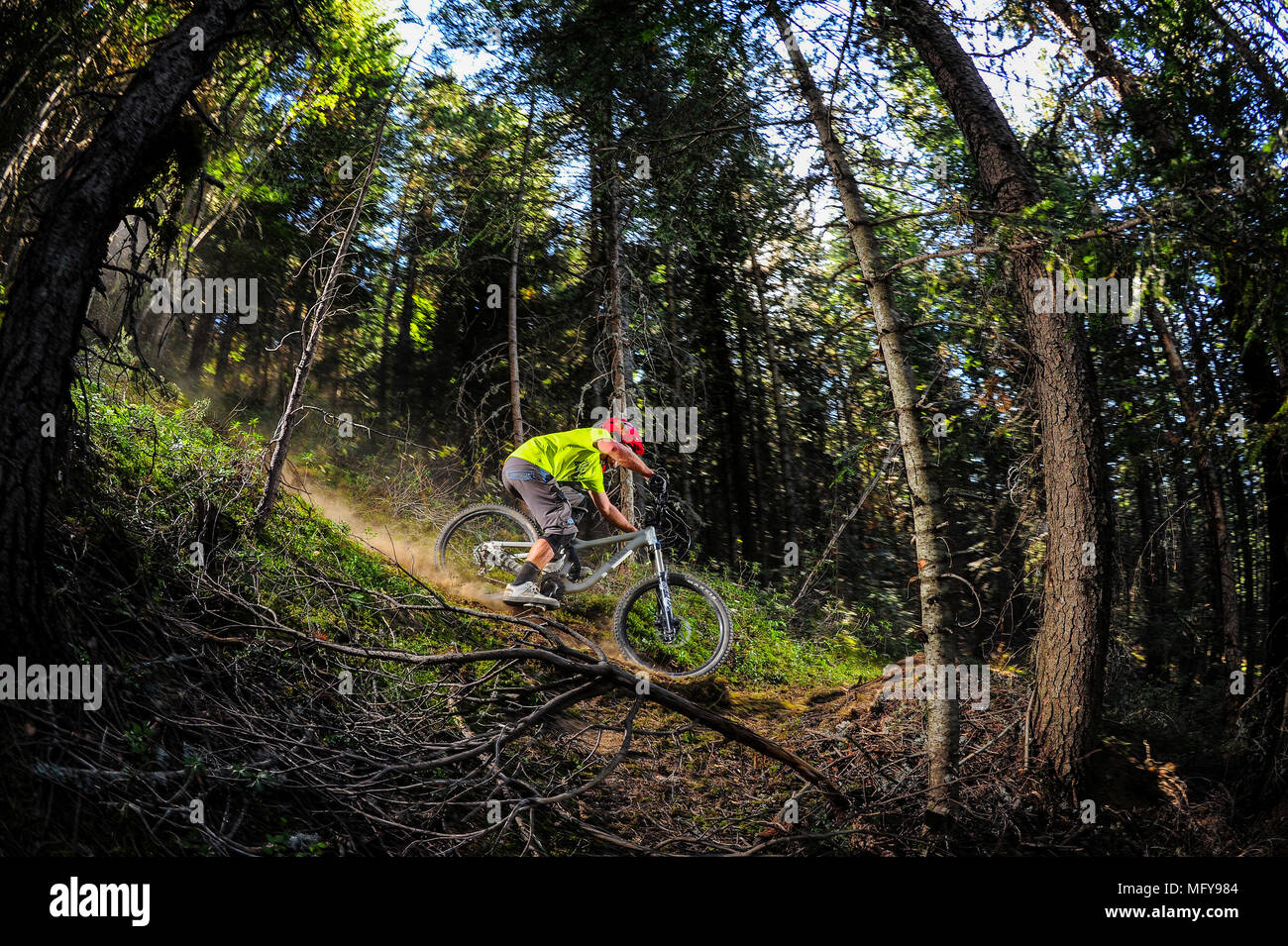 A man rides a mountain bike in Vallnord bike park at La Massana, Andorra in the Pyrenees. Stock Photo