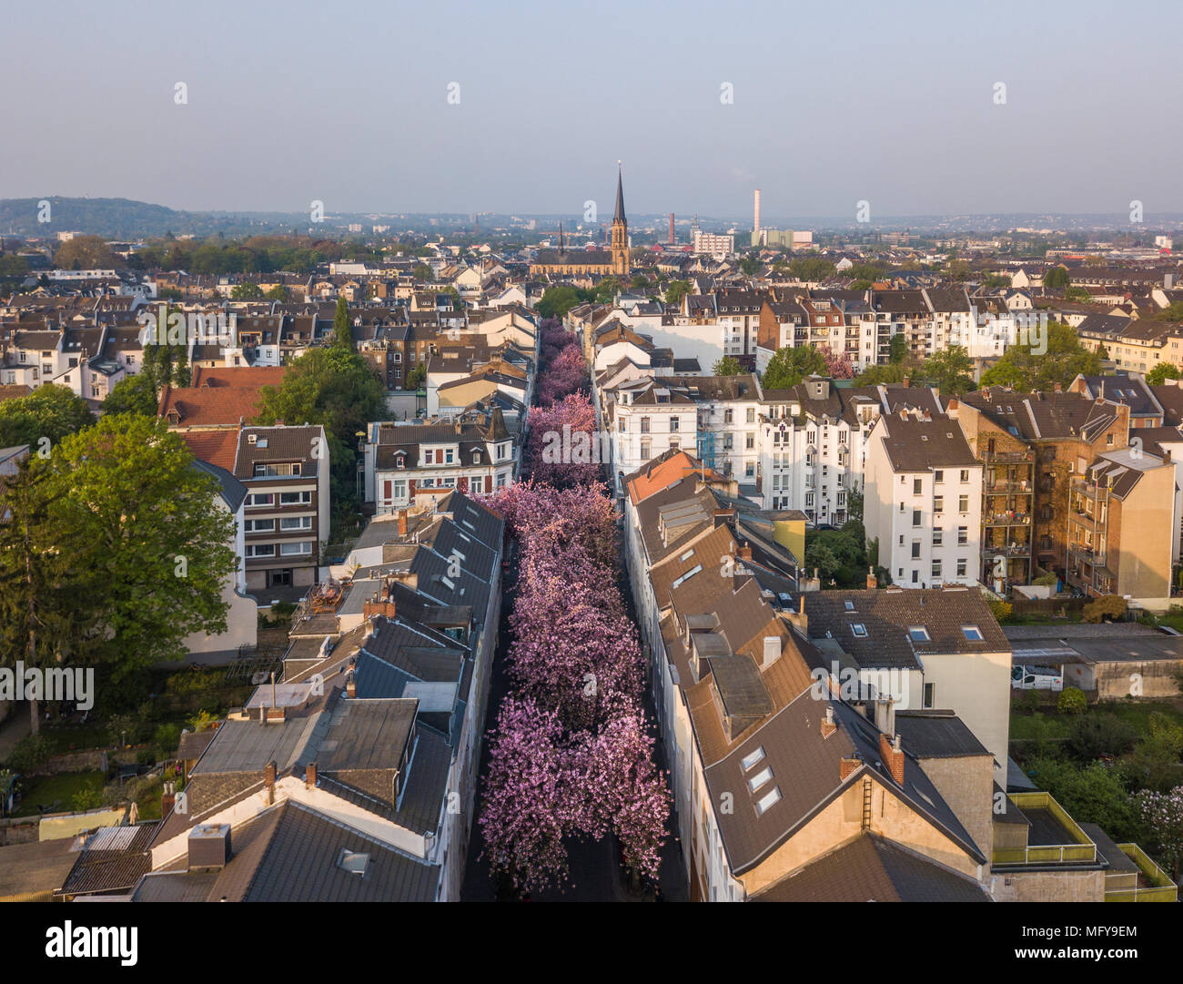 BONN, GERMANY - APRIL 21, 2018: Aerial view of Heerstrasse or Cherry Blossom Avenue during peak of sakura blossom in April Stock Photo