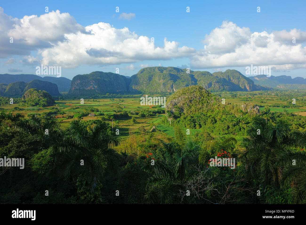 Lush green nature of the Valle de Vinales in Pinar del Río Province in Western Cuba in evening light on 20 December 2013. Stock Photo