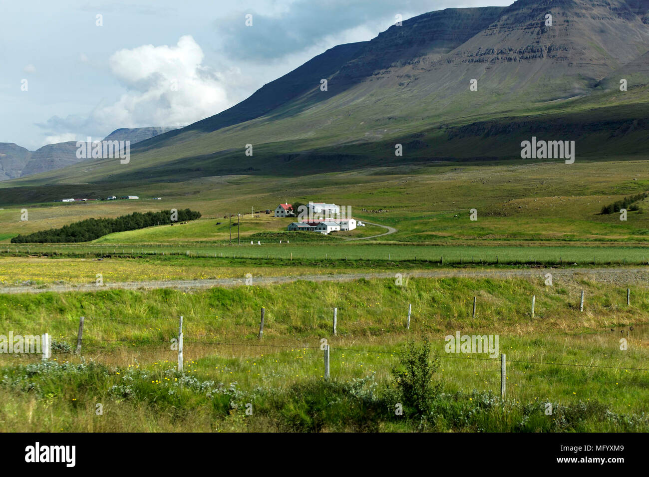 Farmland, Northern Iceland Stock Photo Alamy