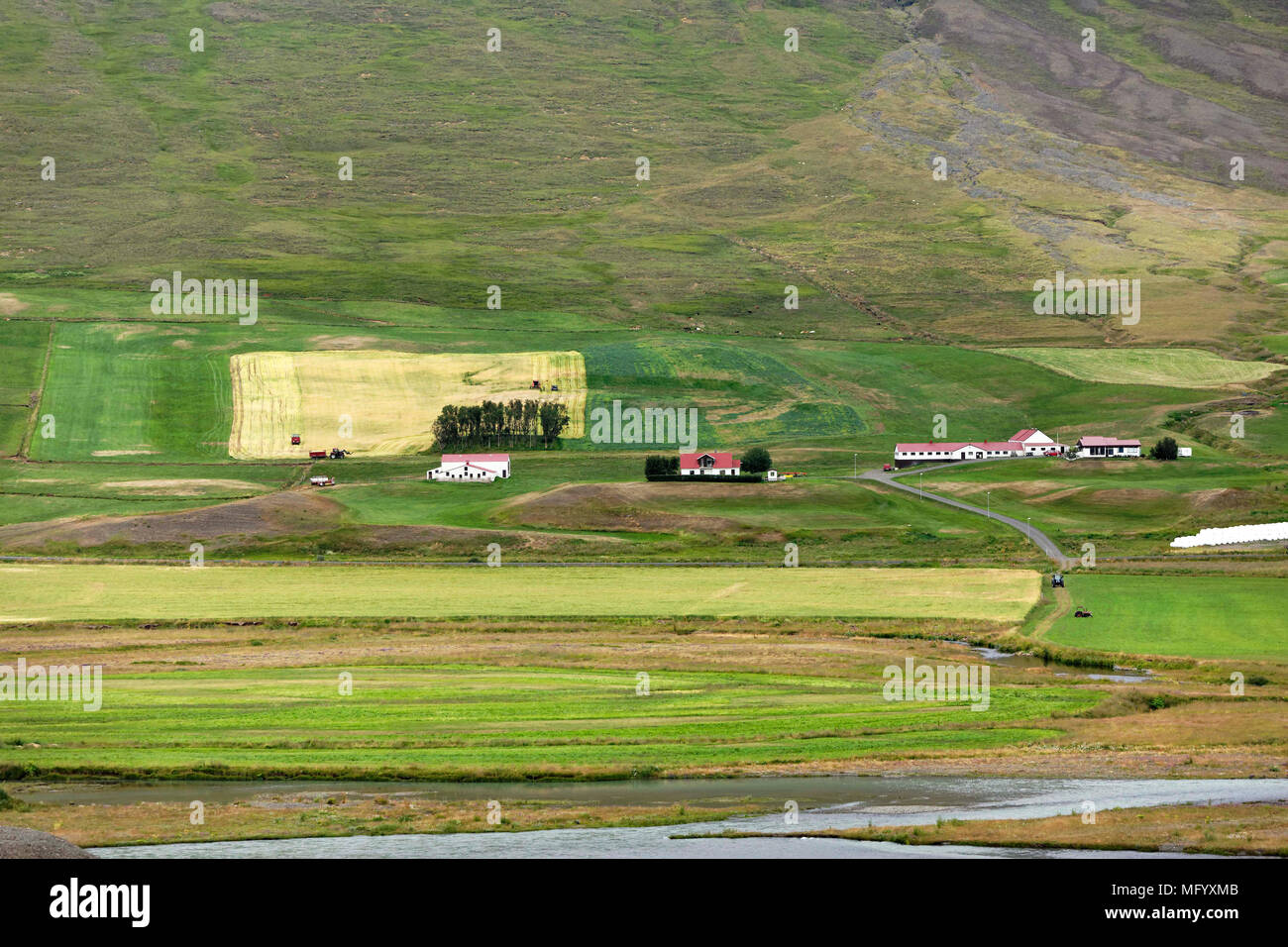 Farmland,  Northern Iceland Stock Photo