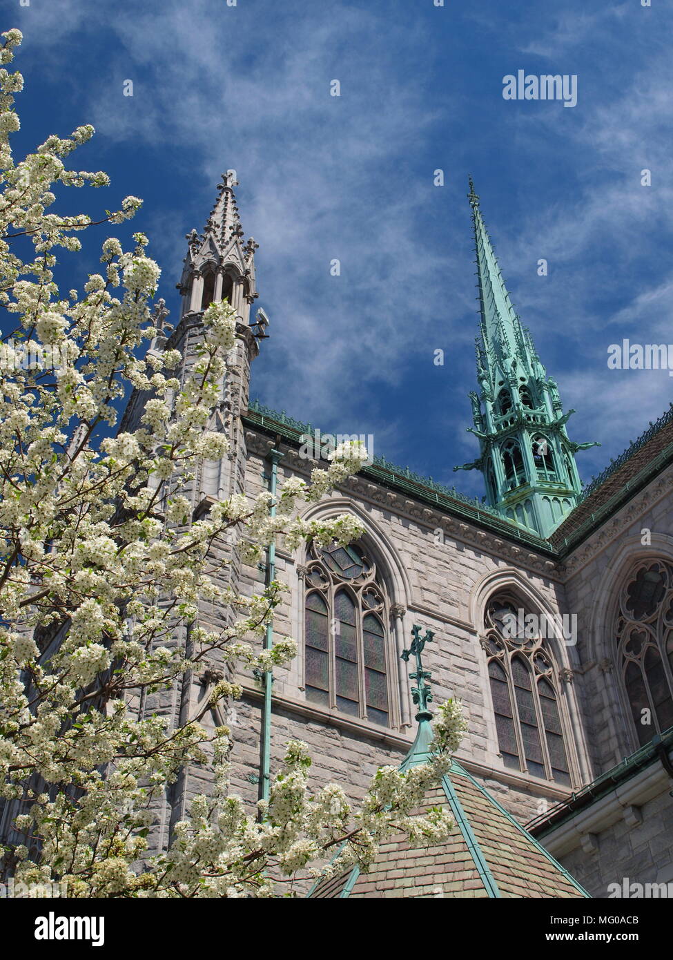 Sacred Heart Cathedral, Newark, New Jersey Stock Photo